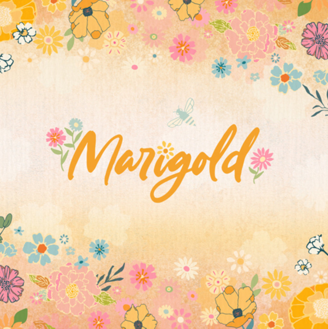 Marigold by Maureen Cracknell