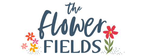 The Flower Fields