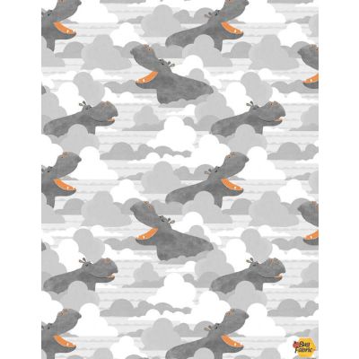 Dream Big - Bathing Beauties