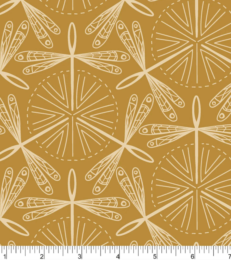 Upstate - Dragonfly Waltz