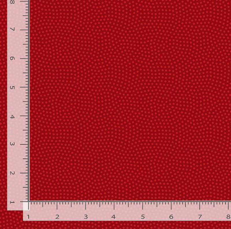 Spin Basics - Tomato