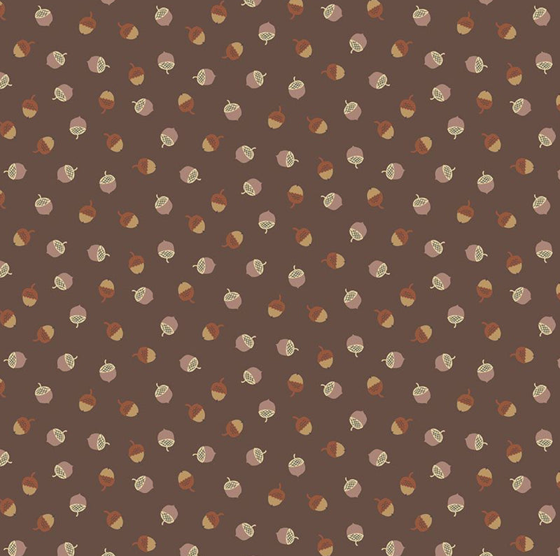 Alphabet City - Acorns, Nutmeg