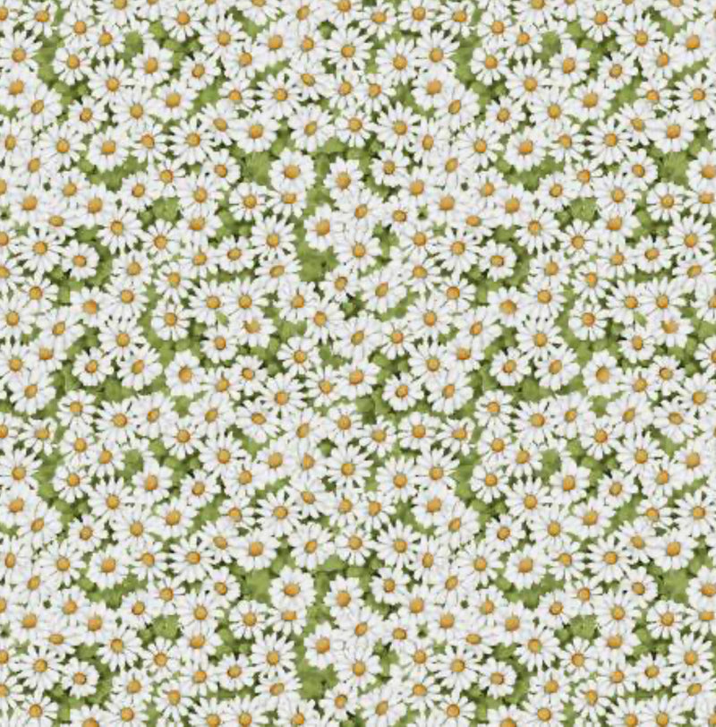 Savor the Moment - Daisies