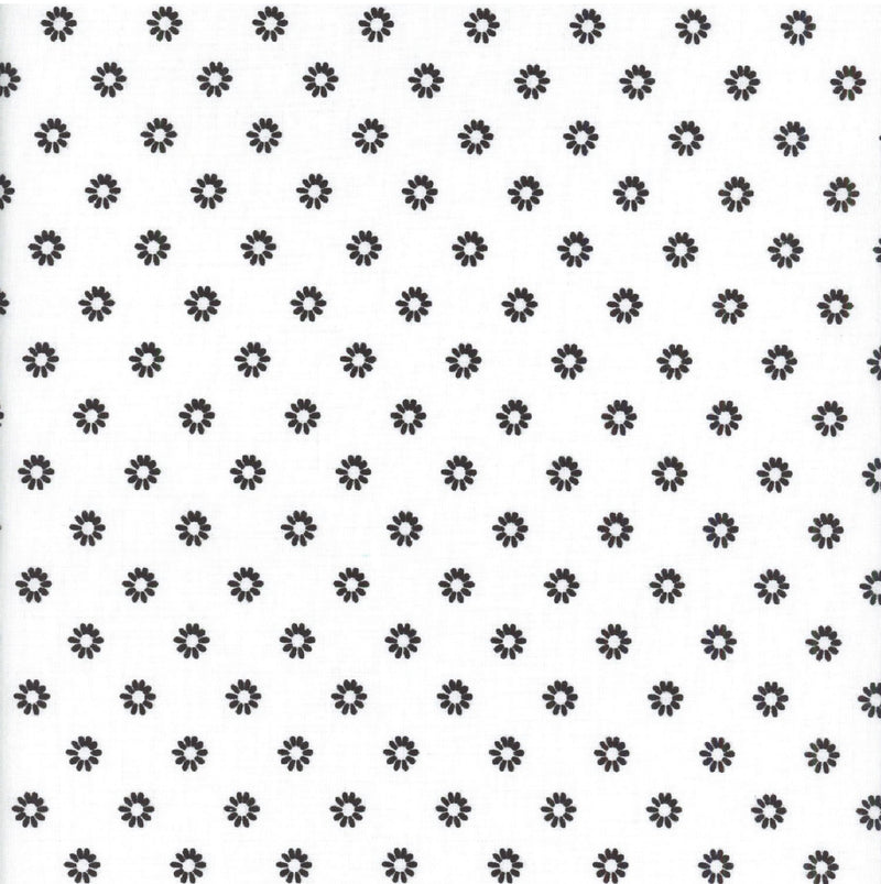 Shadow Blooms - Daisy Dot