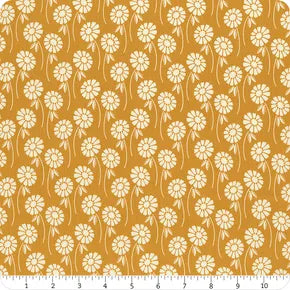 Pop Sugar - Upsy Daisy, Butterscotch (FQ)