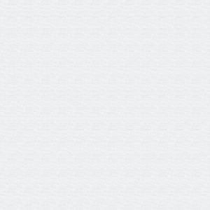 White Muslin - 44/45"