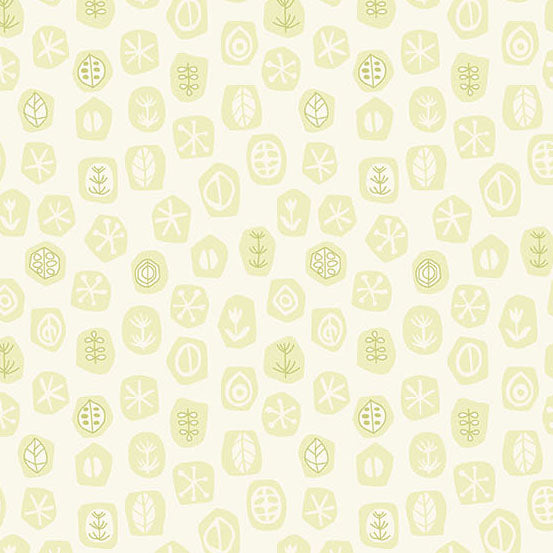 Shadow and Light - 9890g