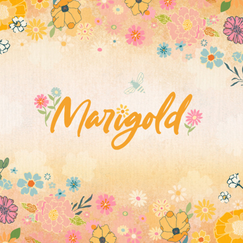 Marigold by Maureen Cracknell