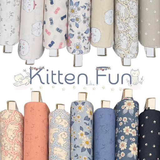 Kitten Fun by