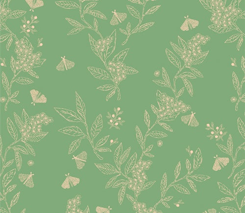 Gardenista - Growing Herbs, Vert