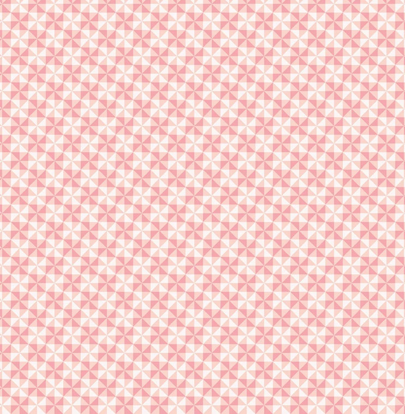 Shop Hop - PinWheel, Pink