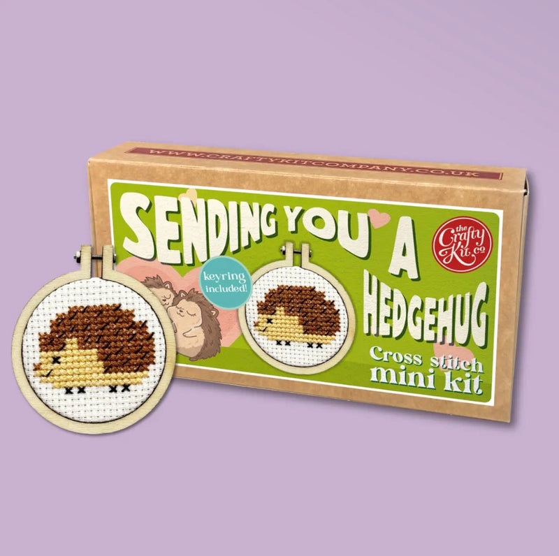 Matchbox Cross Stitch Kit - Sending You a Hedgehug