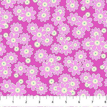 Daisy Crush - Dear Daisy, Violet