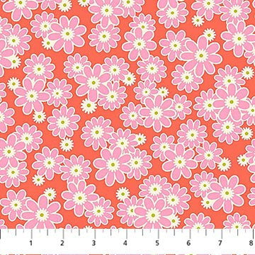 Daisy Crush - Dear Daisy, Clementine