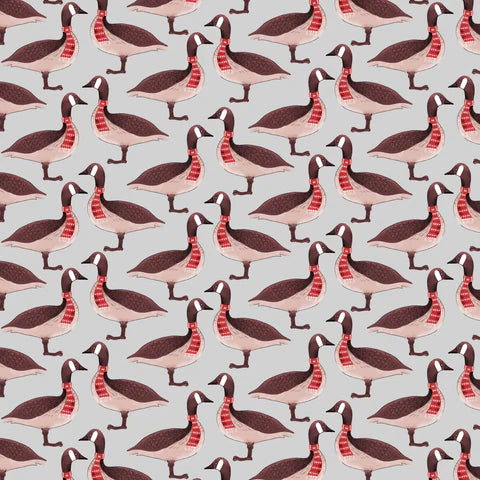 Oh Canada - Canadian Geese