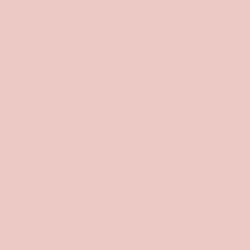 Pure Solids - Cotton Candy, 487