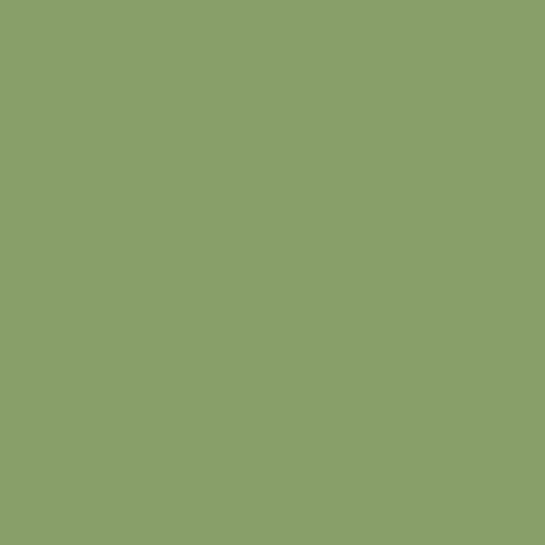 Pure Solids - Asparagus, 542