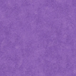 Fine Line Floral - Rich Purple