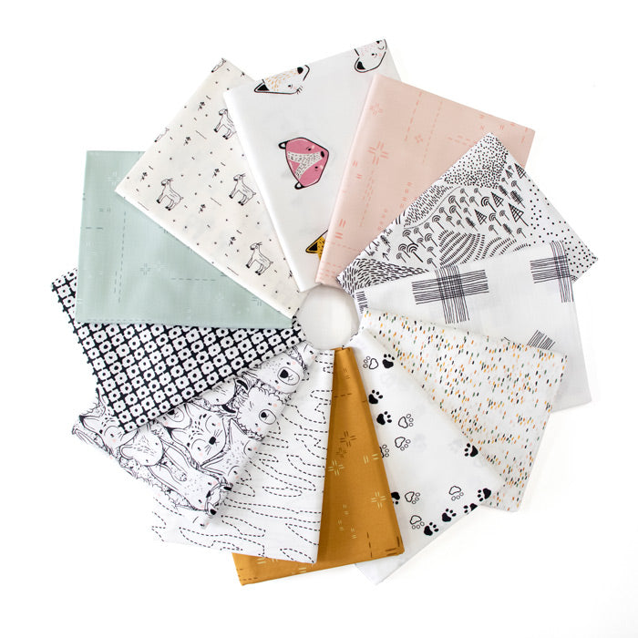Color Masters FQ Bundle - Furry Friends